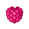 RASPBERRY